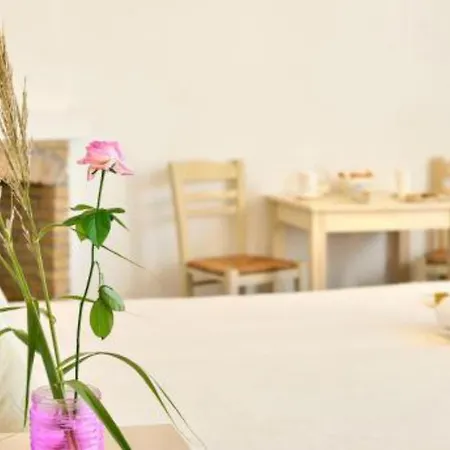 Mykonos Pantheon Aparthotel Kalo Livadi