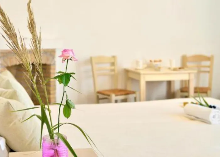 Mykonos Pantheon Hotel apartamentowy Kalo Livadi